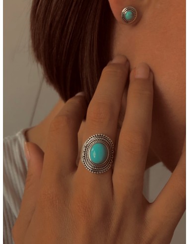 Bague Nomad une grave pollution 